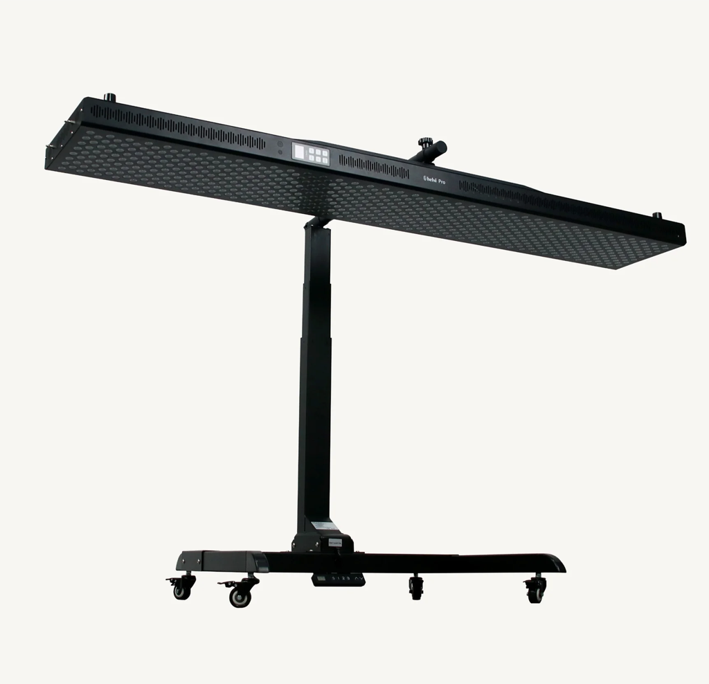 HELSI PRO - RED LIGHT